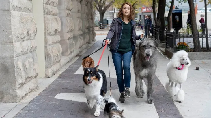 Dostumun Yolculuğu izle