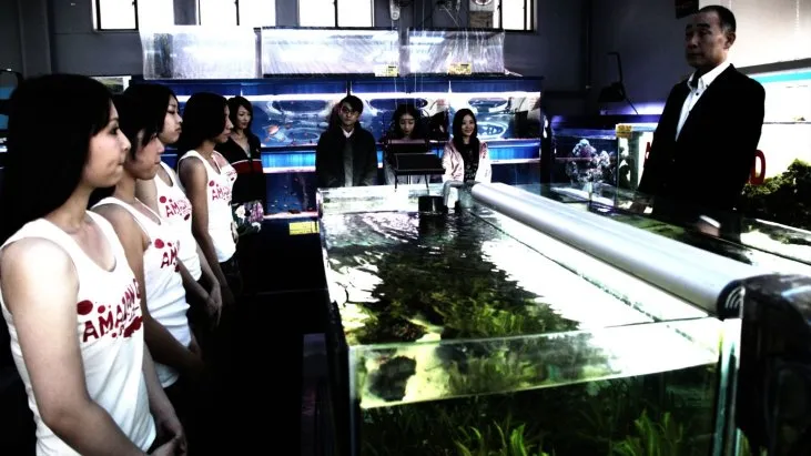 Cold Fish izle