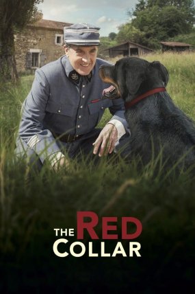 Kırmızı Yaka izle